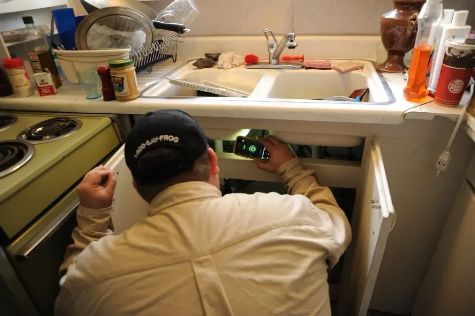 Pest Control Technician — Residential Service Pest Control Technician — Residential Service — Pest Control Technician, Baseball Cap, Smartphone, Pest Control, Pest Contro…